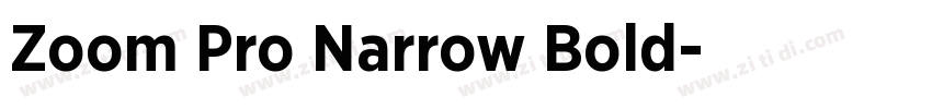 Zoom Pro Narrow Bold字体转换